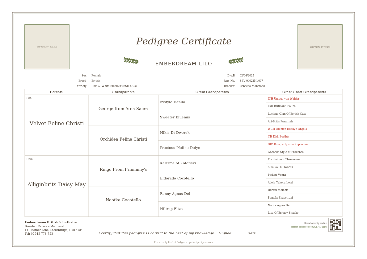 Engraved Botanical pedigree certificate design