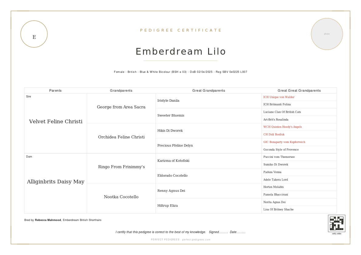 Modern Luxury pedigree certificate design