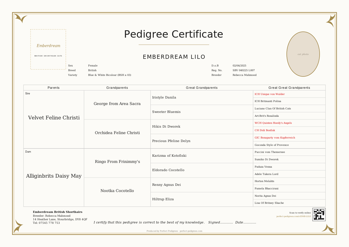 Heritage Ornate pedigree certificate design